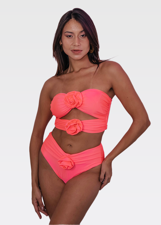 The Isabella 2 Pc Roses Swimsuit