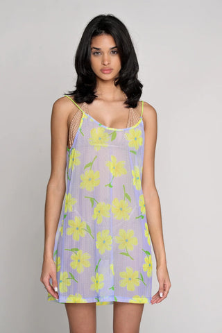 The Aruba Cover-up
