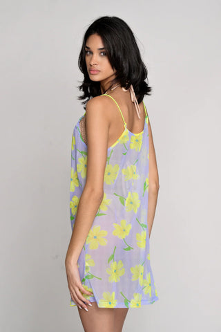 The Aruba Cover-up
