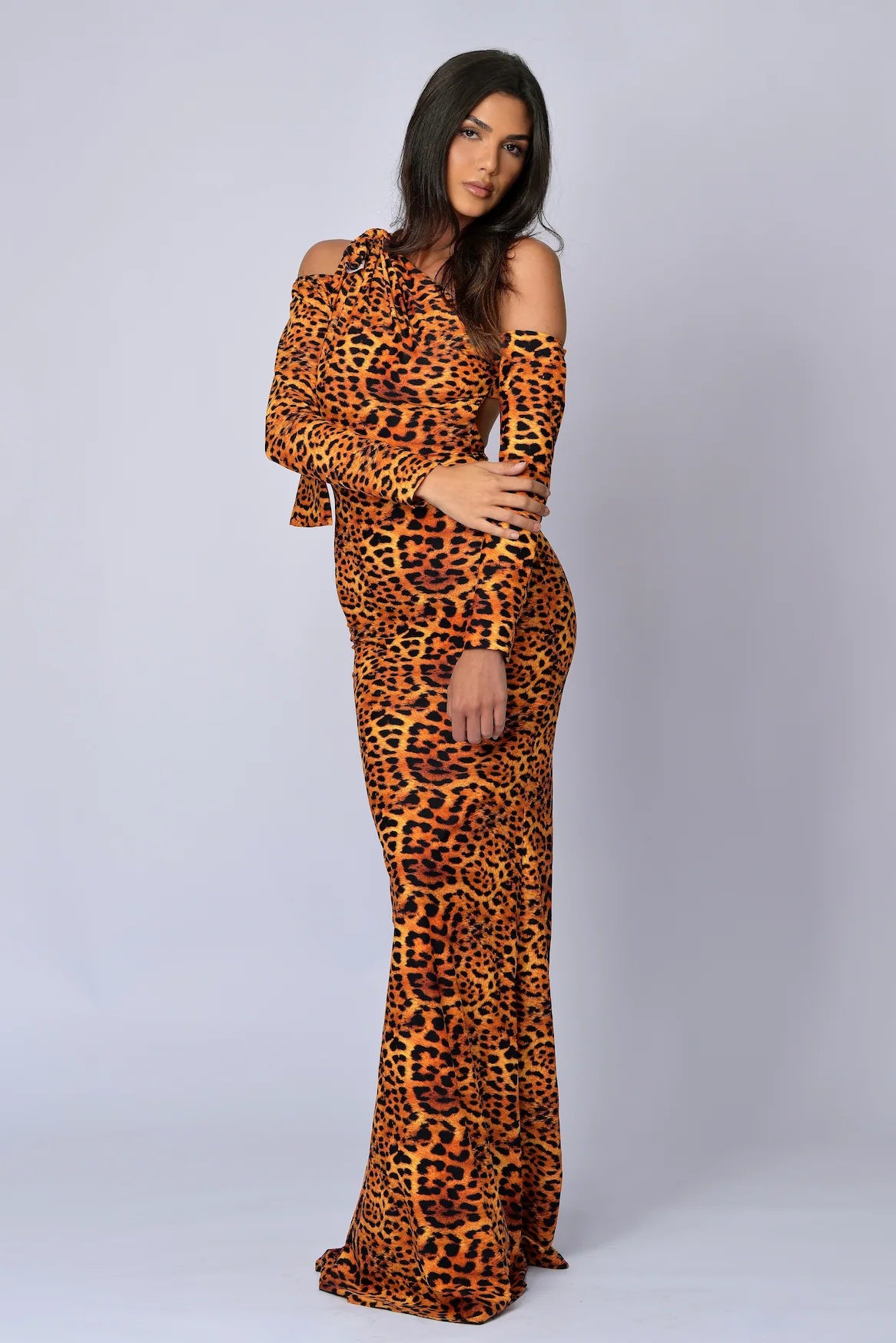 The Leopard Icon Dress