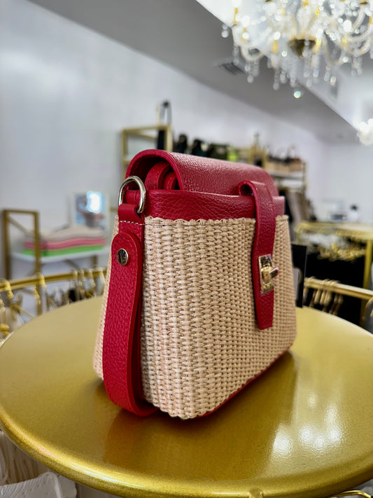 The Mini Raffia Leather Handbag