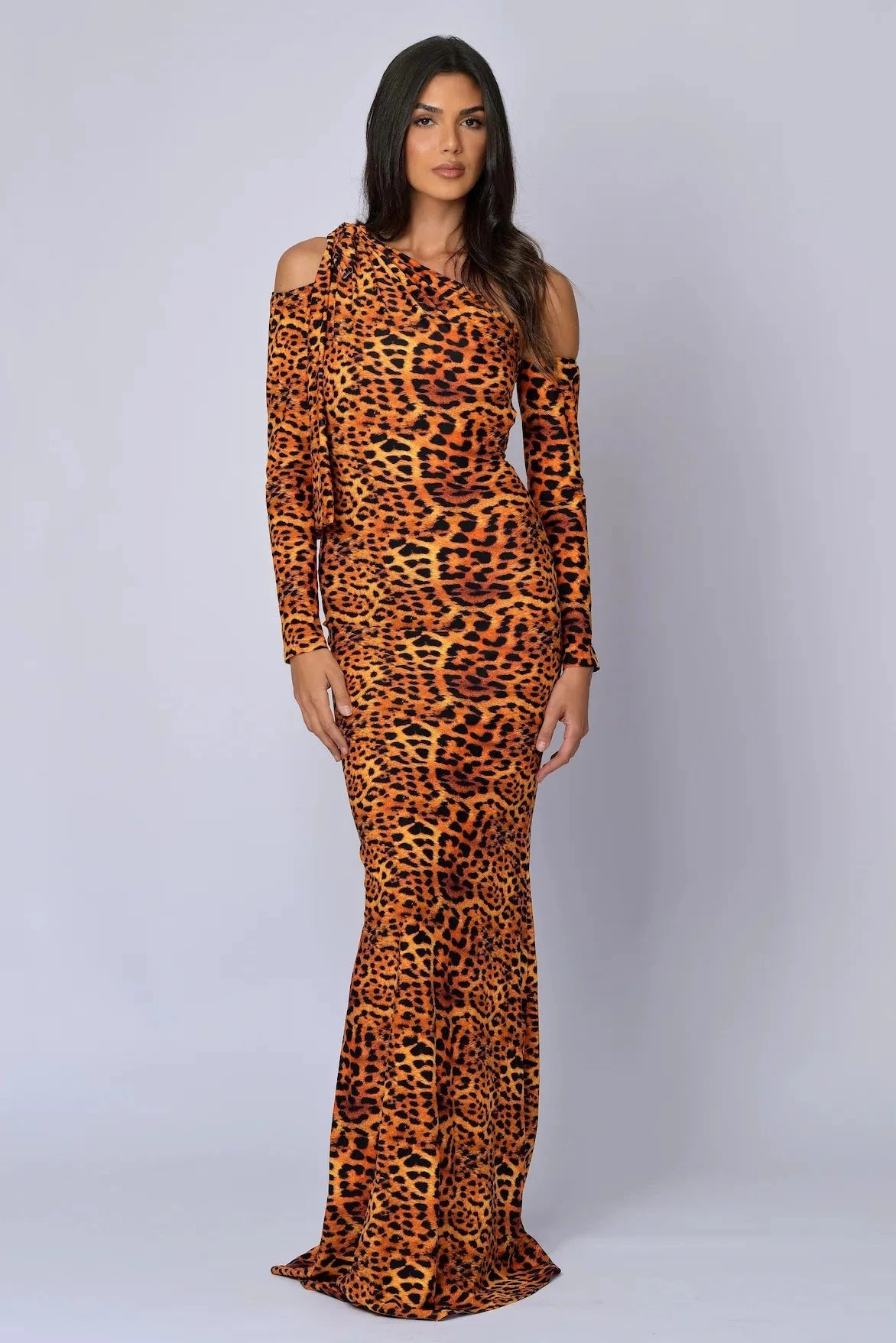 The Leopard Icon Dress - Belledamour.com